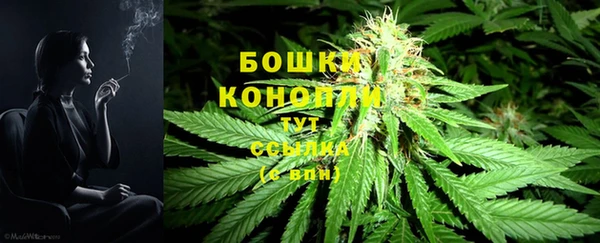 бутират Надым