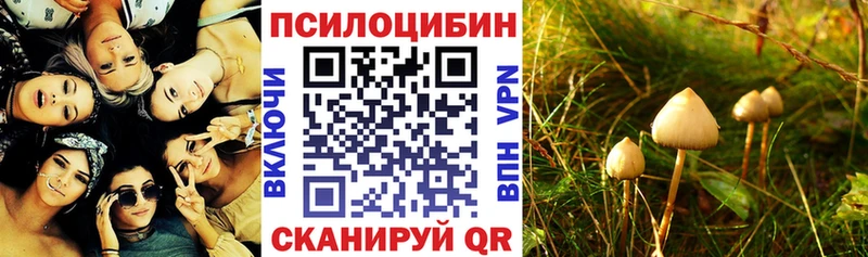купить наркотик  MEGA   Галлюциногенные грибы ЛСД  Никольское 